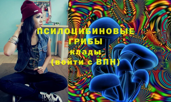 эйфоретик Арсеньев