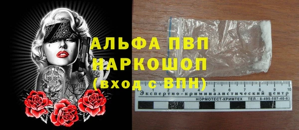 эйфоретик Арсеньев
