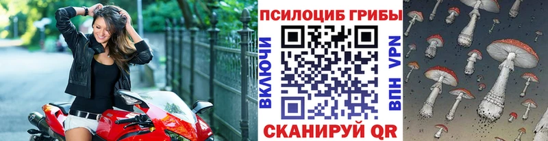 Галлюциногенные грибы прущие грибы наркота Полярный